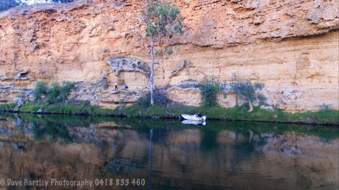 River Shack Rentals - Living The Dream - Kawana Tourism 104